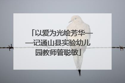 以爱为光绘芳华——记通山县实验幼儿园教师管聪敏