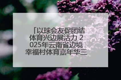 以球会友促团结 体育兴边展活力 2025年云南省边境幸福村体育嘉年华三人篮球赛圆满收官