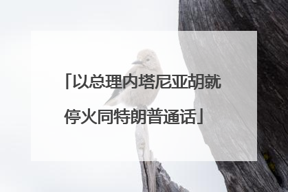 以总理内塔尼亚胡就停火同特朗普通话
