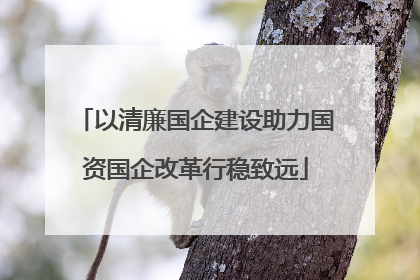 以清廉国企建设助力国资国企改革行稳致远