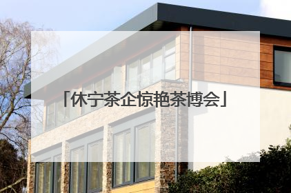 休宁茶企惊艳茶博会