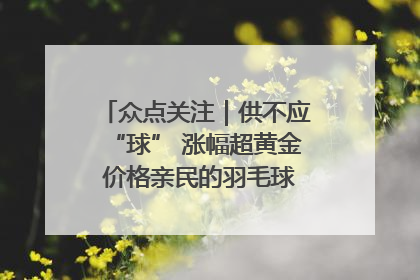 众点关注｜供不应“球” 涨幅超黄金 价格亲民的羽毛球为何身价飞涨？