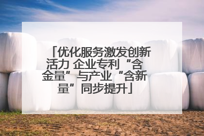 优化服务激发创新活力 企业专利“含金量”与产业“含新量”同步提升