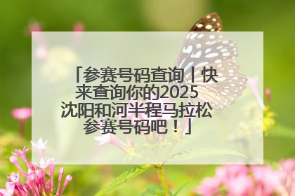 参赛号码查询丨快来查询你的2025沈阳和河半程马拉松参赛号码吧！