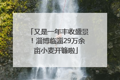 又是一年丰收盛景！淄博临淄29万余亩小麦开镰啦