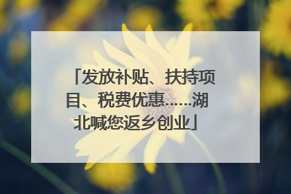 发放补贴、扶持项目、税费优惠……湖北喊您返乡创业