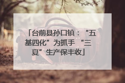 台前县孙口镇：“五基四化”为抓手 “三夏”生产保丰收