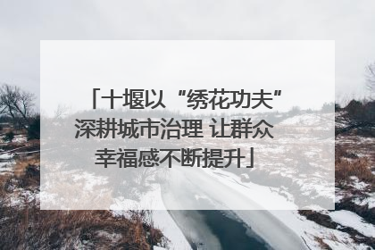 十堰以“绣花功夫”深耕城市治理 让群众幸福感不断提升