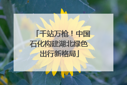 千站万枪！中国石化构建湖北绿色出行新格局