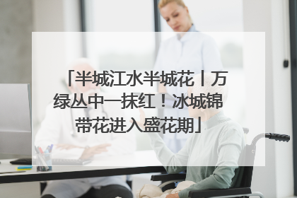 半城江水半城花丨万绿丛中一抹红！冰城锦带花进入盛花期