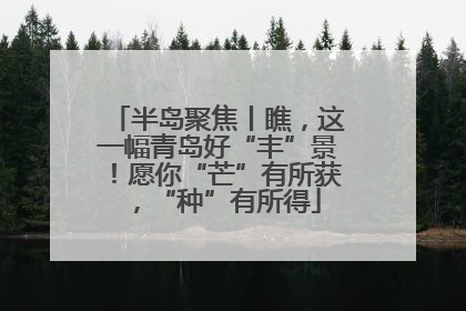 半岛聚焦丨瞧，这一幅青岛好“丰”景！愿你“芒”有所获，“种”有所得