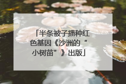 半条被子播种红色基因《沙洲的“小树苗”》出版