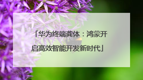 华为终端龚体：鸿蒙开启高效智能开发新时代