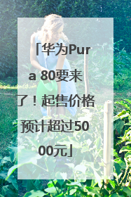 华为Pura 80要来了！起售价格预计超过5000元