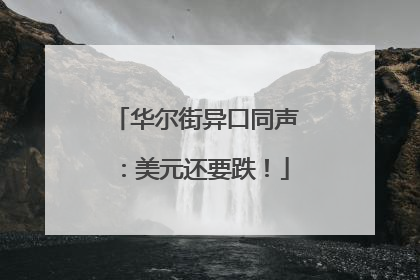 华尔街异口同声：美元还要跌！