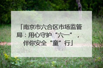 南京市六合区市场监管局：用心守护“六一”，伴你安全“童”行