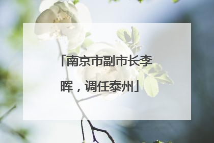 南京市副市长李晖，调任泰州