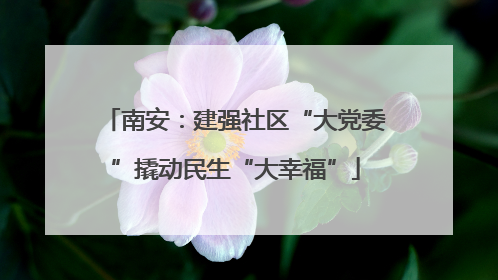 南安：建强社区“大党委”撬动民生“大幸福”