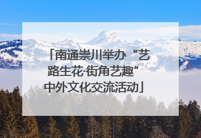 南通崇川举办“艺路生花·街角艺趣”中外文化交流活动