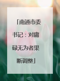 南通市委书记：对庸碌无为者果断调整