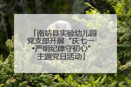 南靖县实验幼儿园党支部开展“庆七一•严明纪律守初心”主题党日活动