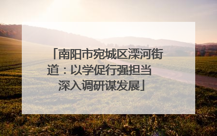 南阳市宛城区溧河街道：以学促行强担当 深入调研谋发展
