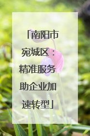 南阳市宛城区：精准服务助企业加速转型