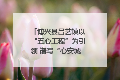 博兴县吕艺镇以“五心工程”为引领 谱写“心安城市”建设新篇章
