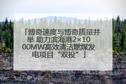 博奇速度与博奇质量并举 助力滨海港2×1000MW高效清洁燃煤发电项目“双投”