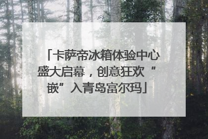 卡萨帝冰箱体验中心盛大启幕，创意狂欢“嵌”入青岛富尔玛