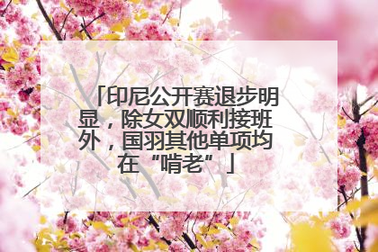 印尼公开赛退步明显，除女双顺利接班外，国羽其他单项均在“啃老”