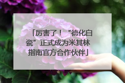 厉害了！“德化白瓷”正式成为米其林指南官方合作伙伴