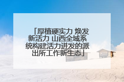 厚植硬实力 焕发新活力 山西全域系统构建活力迸发的派出所工作新生态