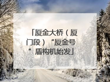 厦金大桥（厦门段）“厦金号”盾构机始发