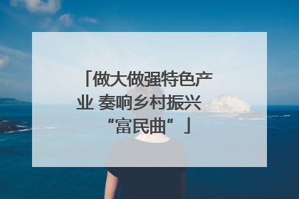 做大做强特色产业 奏响乡村振兴“富民曲”