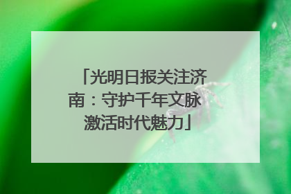 光明日报关注济南：守护千年文脉 激活时代魅力