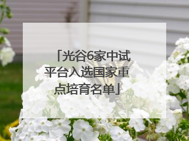 光谷6家中试平台入选国家重点培育名单