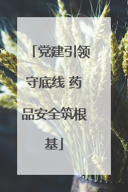 党建引领守底线 药品安全筑根基