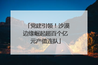 党建引领！沙漠边缘崛起超百个亿元产值连队
