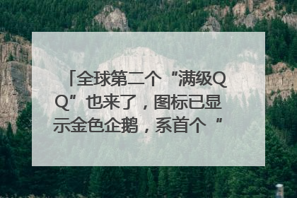 全球第二个“满级QQ”也来了，图标已显示金色企鹅，系首个“满级QQ”的小号