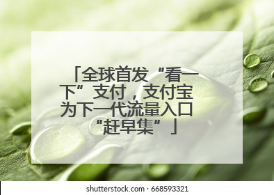 全球首发“看一下”支付，支付宝为下一代流量入口“赶早集”