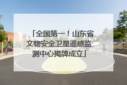 全国第一！山东省文物安全卫星遥感监测中心揭牌成立