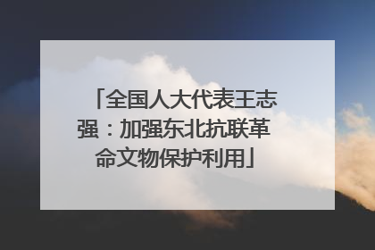 全国人大代表王志强：加强东北抗联革命文物保护利用