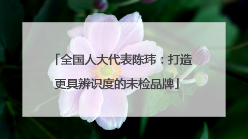 全国人大代表陈玮：打造更具辨识度的未检品牌