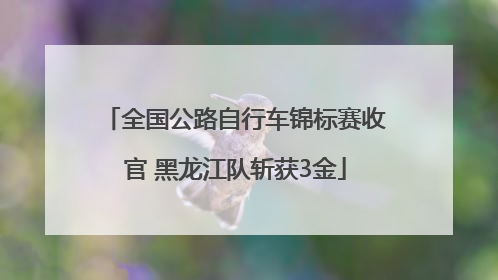 全国公路自行车锦标赛收官 黑龙江队斩获3金