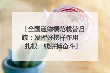 全国道德模范载誉归皖：发挥好榜样作用 扎根一线拼搏奋斗