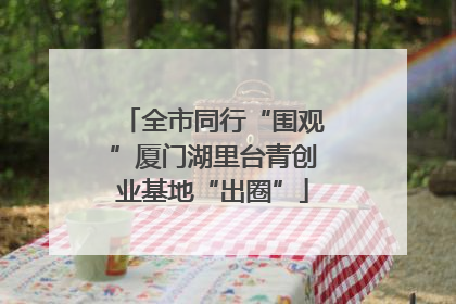 全市同行“围观”厦门湖里台青创业基地“出圈”