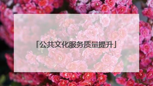 公共文化服务质量提升