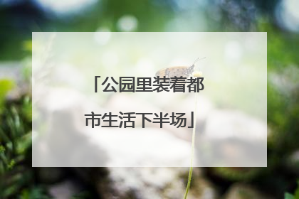 公园里装着都市生活下半场