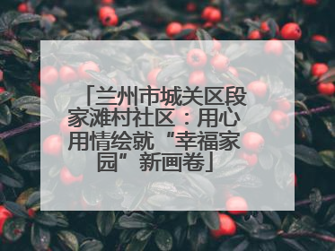 兰州市城关区段家滩村社区：用心用情绘就“幸福家园”新画卷
